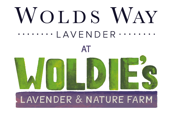 Wolds Way Lavender Logo
